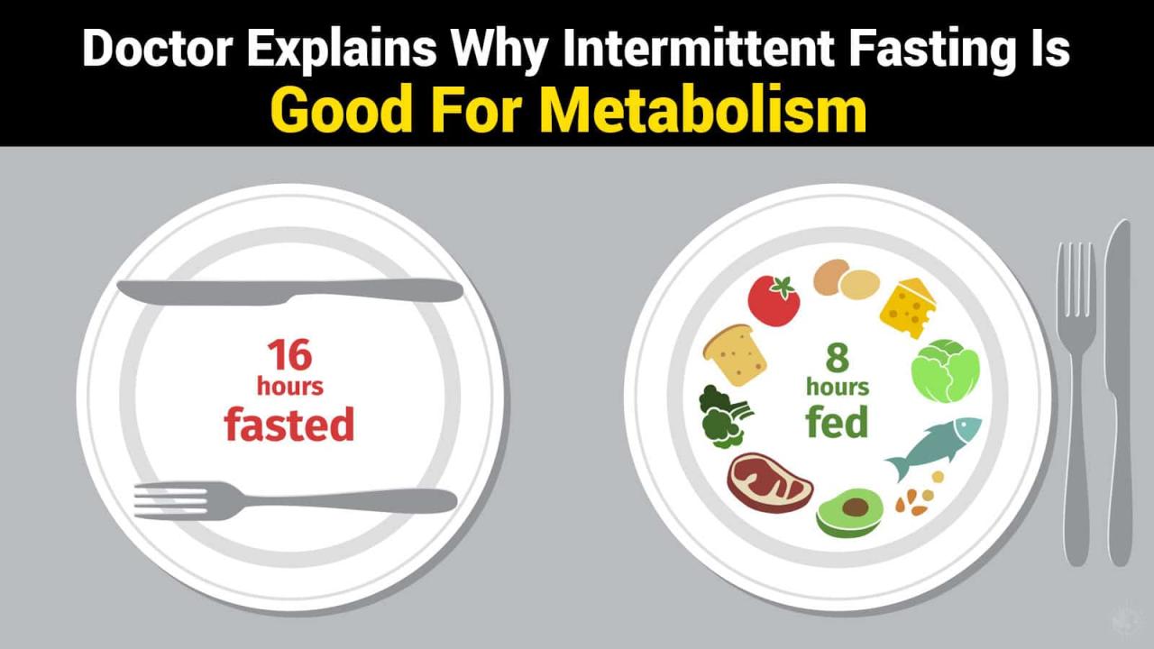 Fasting intermittent metabolism why good health doctors explain Fasting intermittent metabolism why good health doctors explain