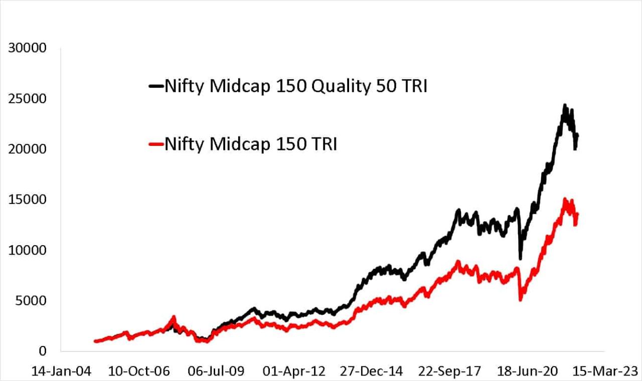 Midcap bse smallcap steepest indexes fall years see livemint Midcap bse smallcap steepest indexes fall years see livemint