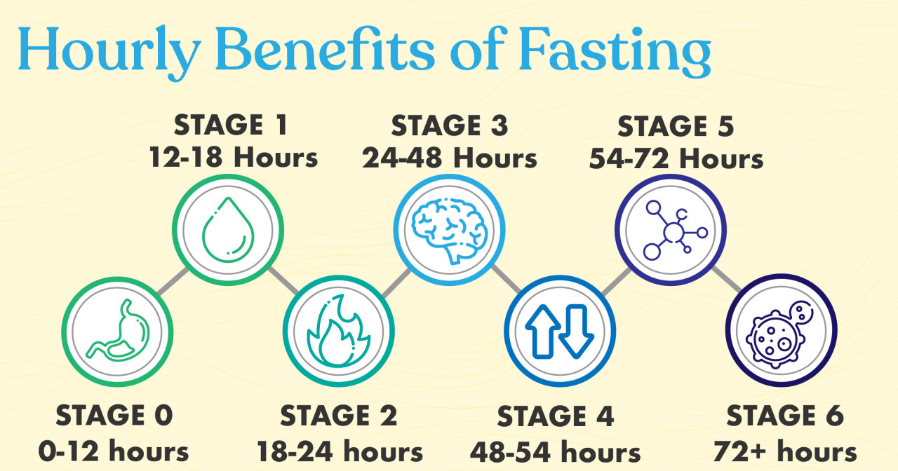 Fasting stages metabolic 72hrs Fasting stages metabolic 72hrs