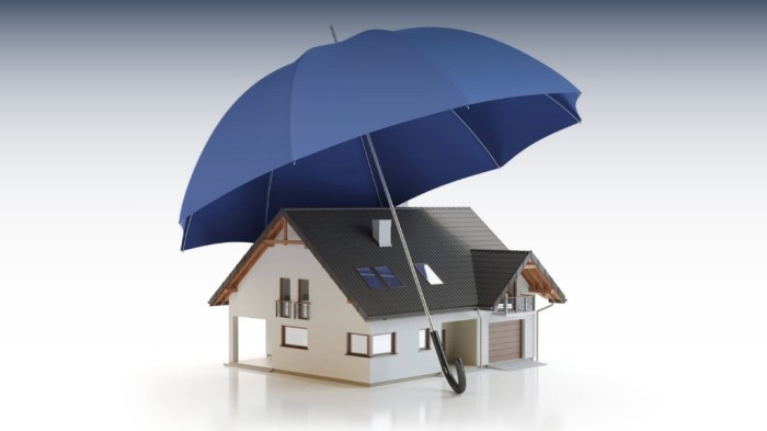 Top 6 Best Roof Waterproofing Solution In 2025 Top 6 Best Roof Waterproofing Solution In 2025